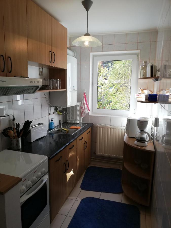 Apartmán Apartament Langa Castan Azuga Exteriér fotografie