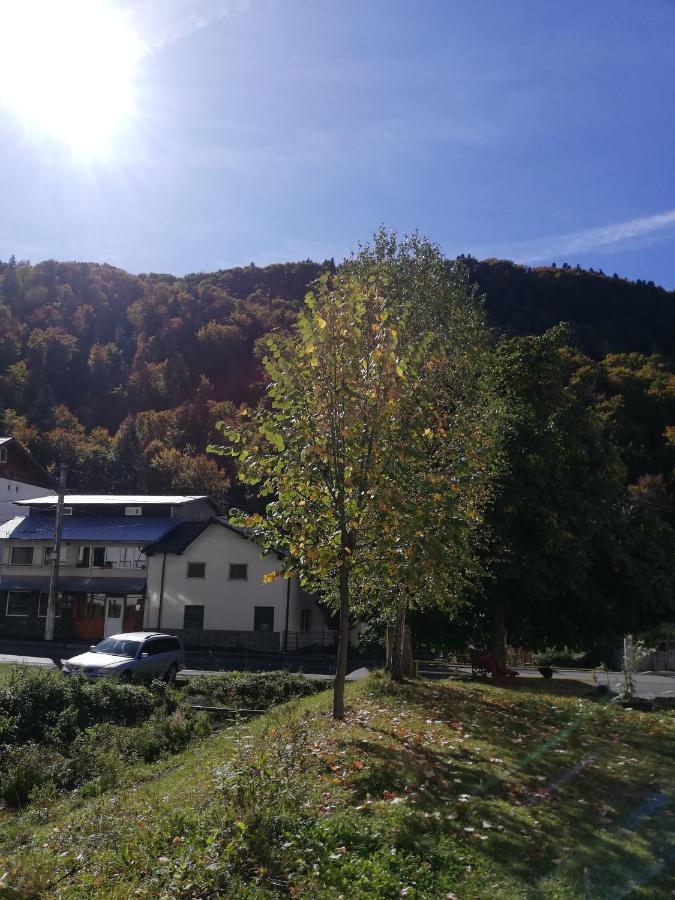 Apartmán Apartament Langa Castan Azuga Exteriér fotografie