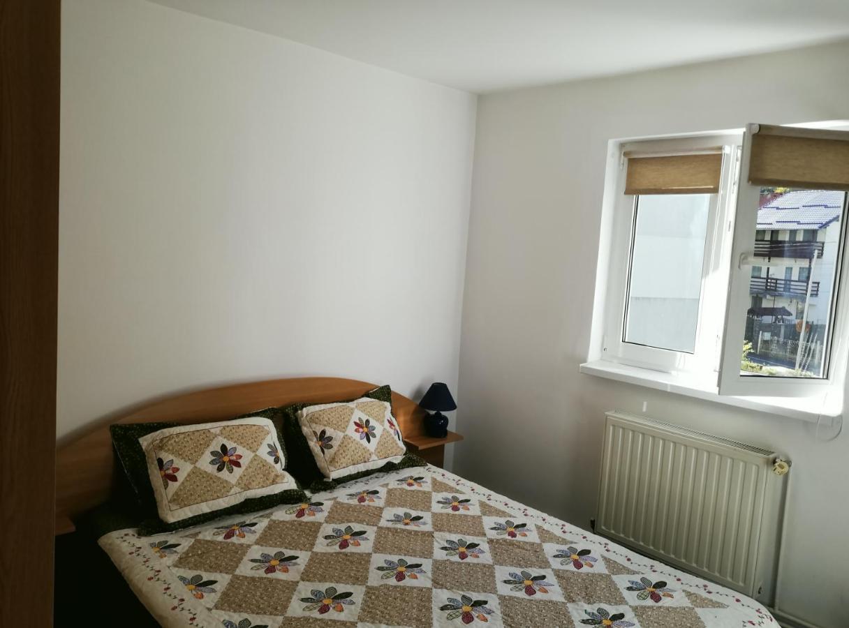Apartmán Apartament Langa Castan Azuga Exteriér fotografie