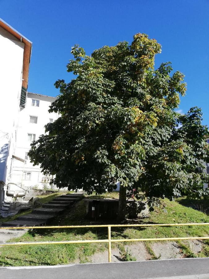 Apartmán Apartament Langa Castan Azuga Exteriér fotografie