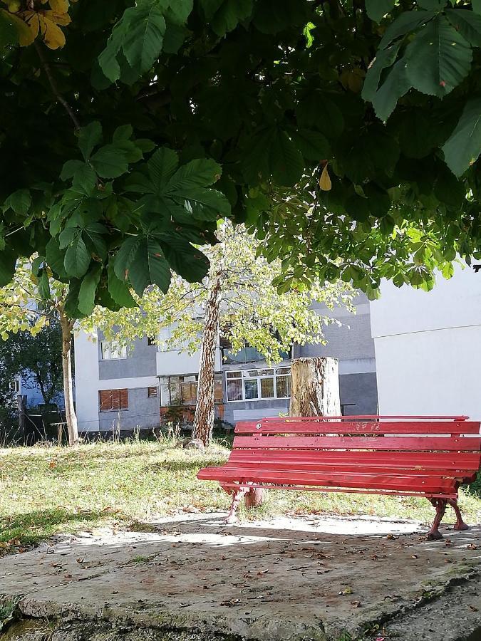 Apartmán Apartament Langa Castan Azuga Exteriér fotografie